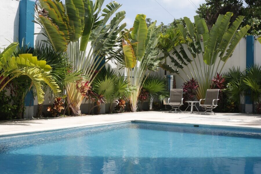 Alberca en el Hotel Magic Express Playa del Carmen